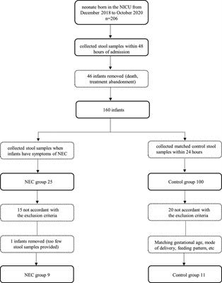 Abnormalities in microbial composition and function in infants with necrotizing enterocolitis: A single-center observational study